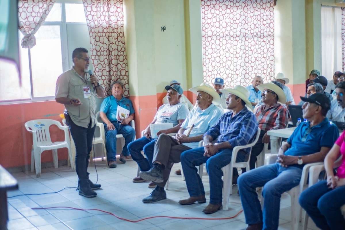 Brindan herramientas para mejorar fertilidad de los suelos citrícolas